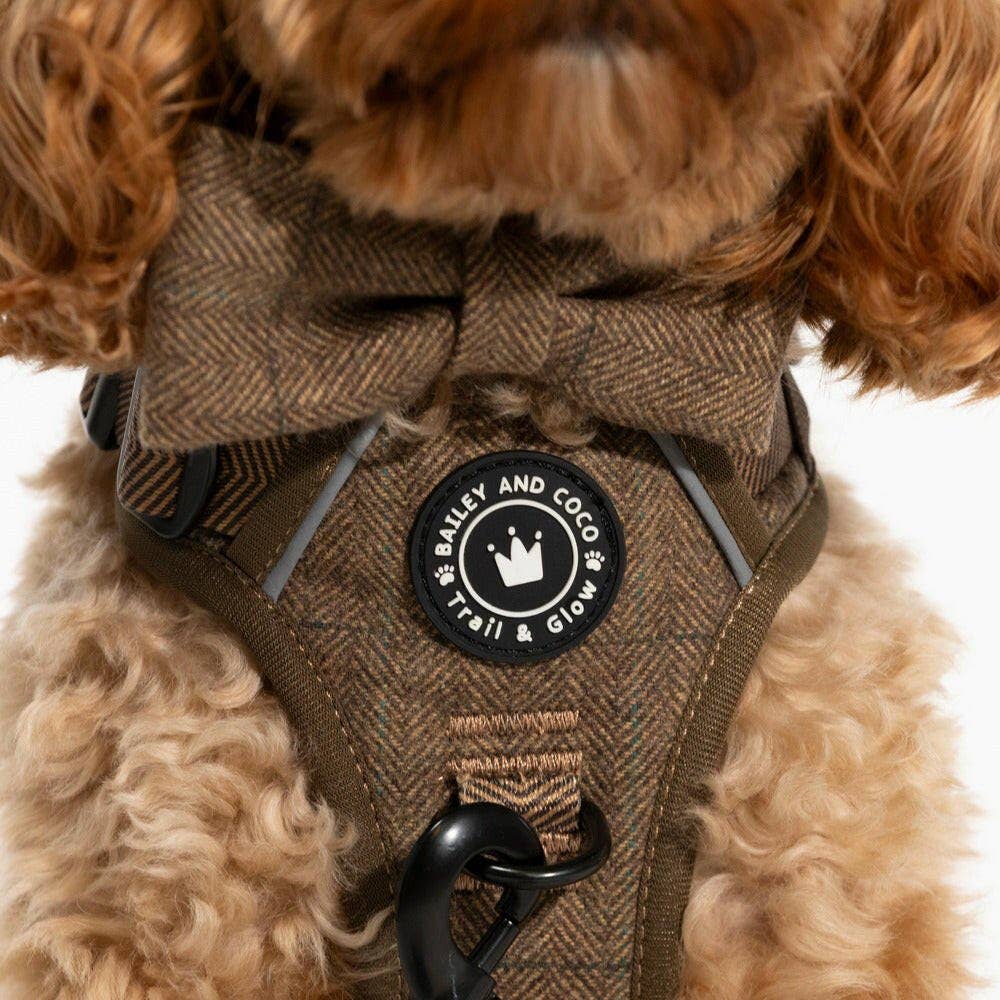 Oxford Tweed bow tie on dog’s collar — classic British tweed accessory for occasions and photoshoots