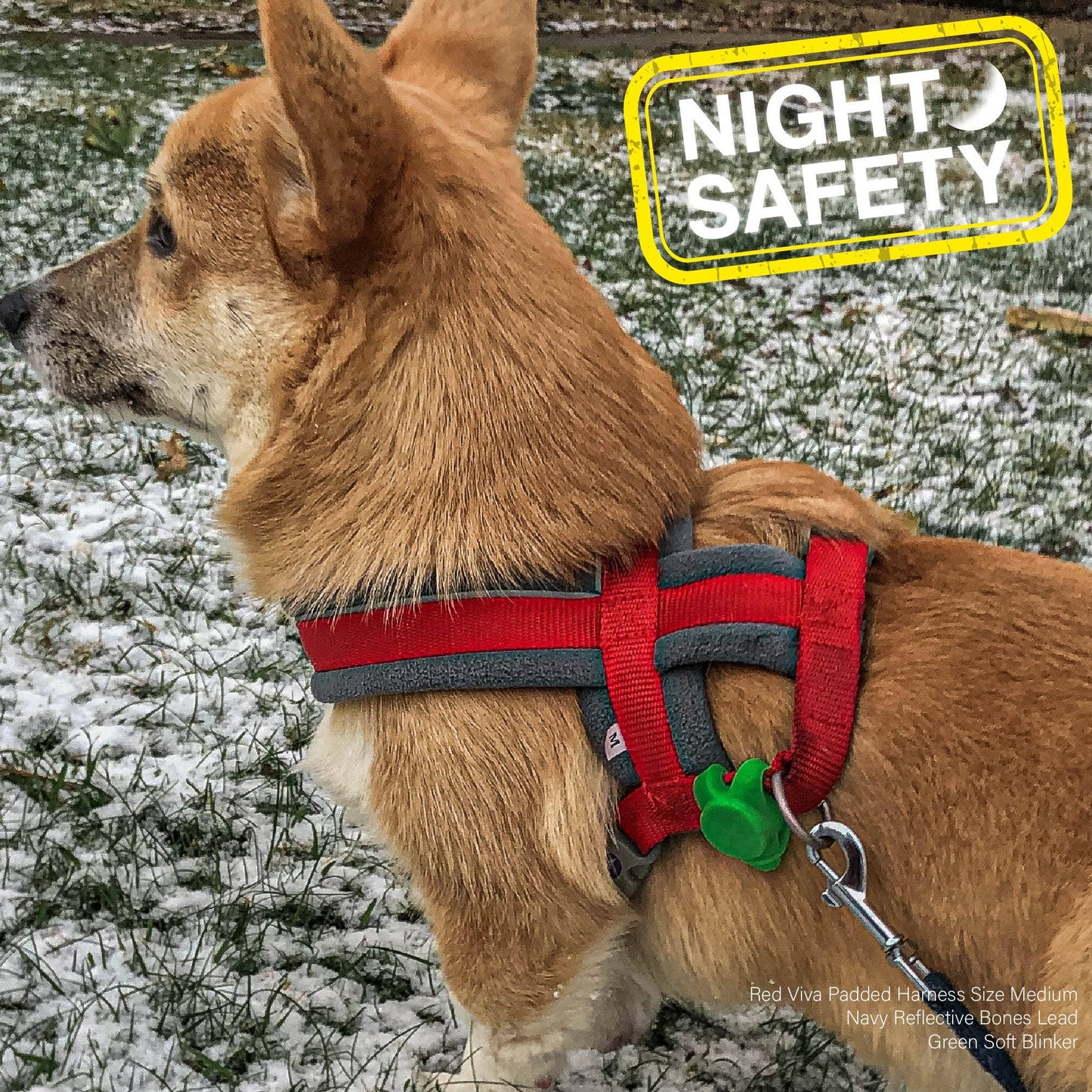 Ancol Night Safety Soft Blinker for Dog Collar