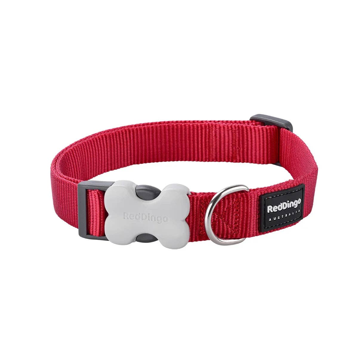 Red Dingo Classic dog collar in Red — Bucklebone buckle and stainless steel D-ring