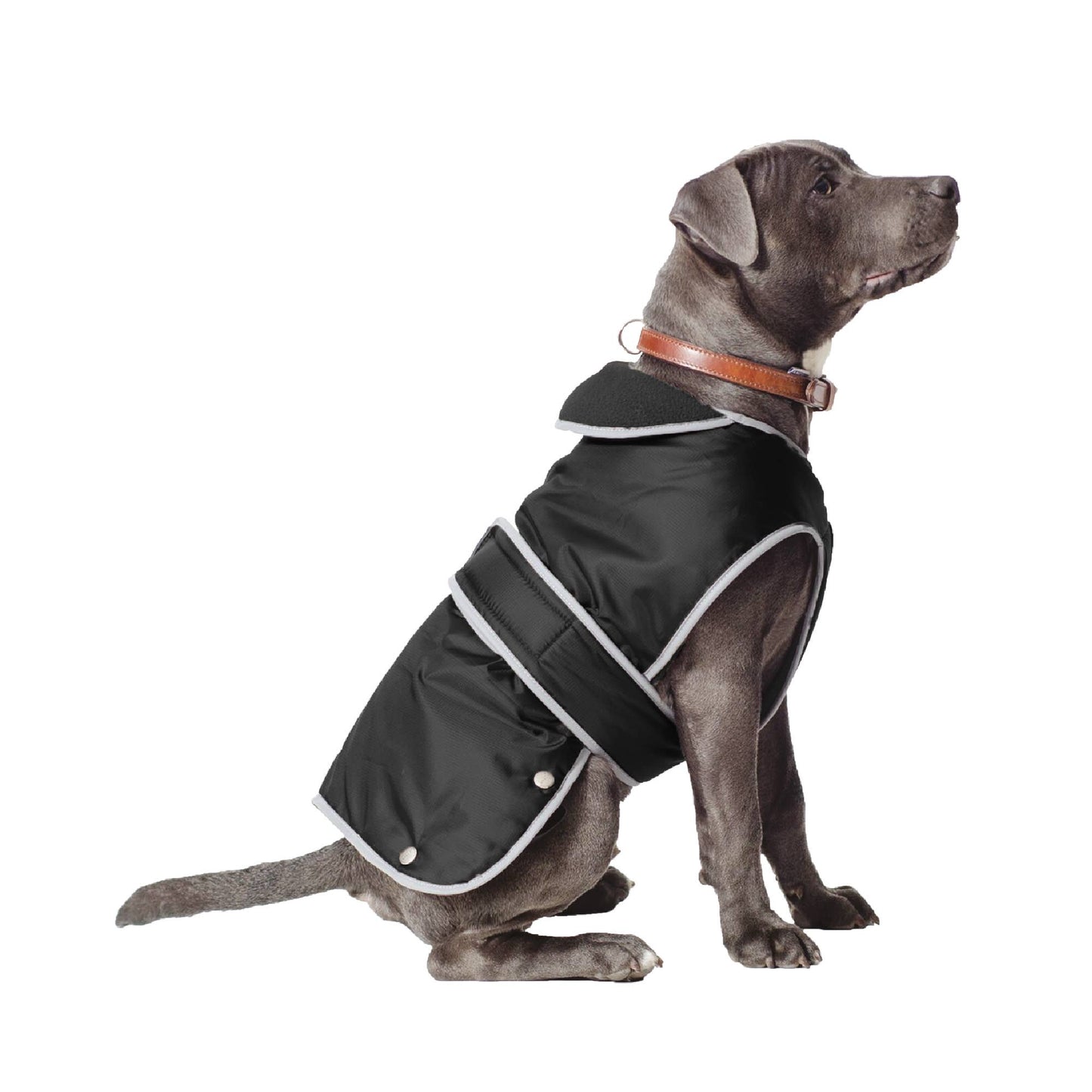 Ancol Stormguard all-weather dog coat in Black — waterproof, fleece-lined and reflective