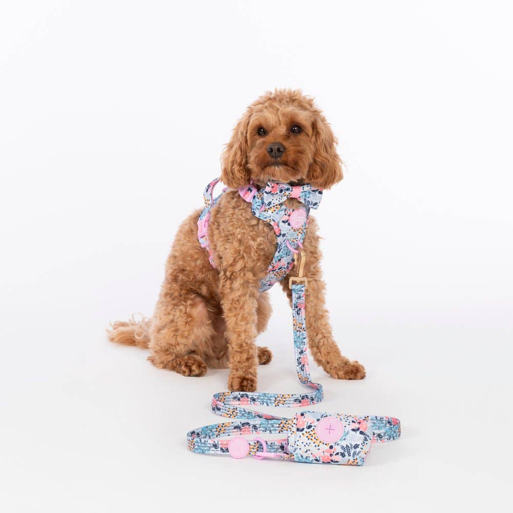 Spring Dreams dog lead showing padded neoprene handle and gold clip