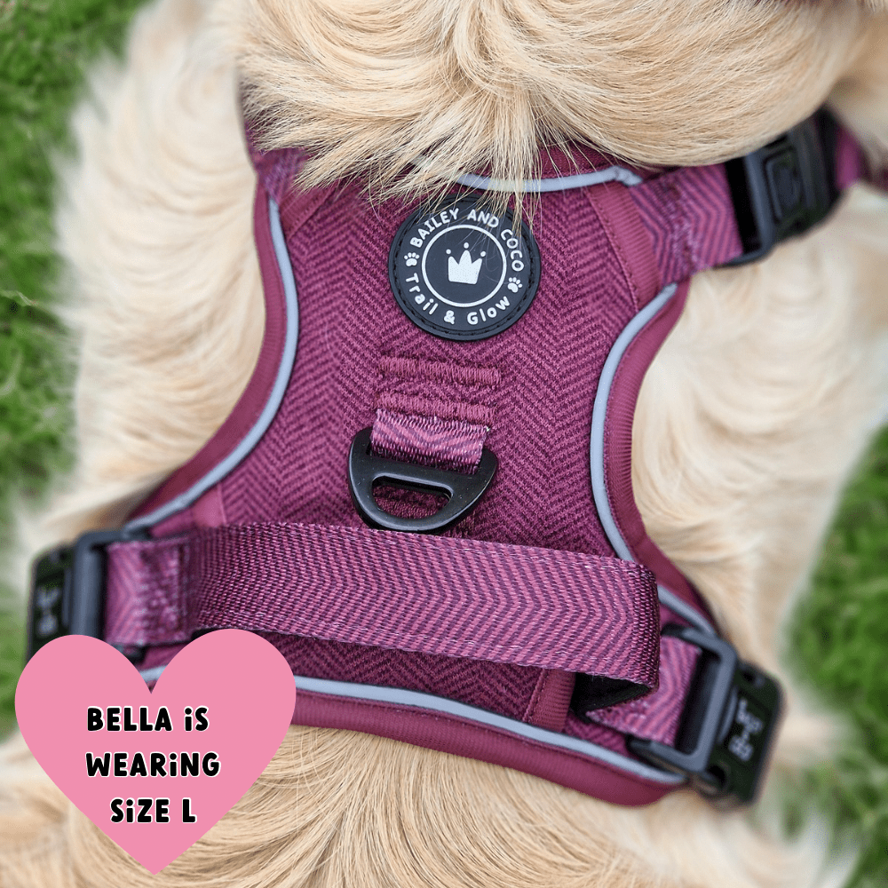 Trail & Glow® Dog Harness - Mulberry Tweed.