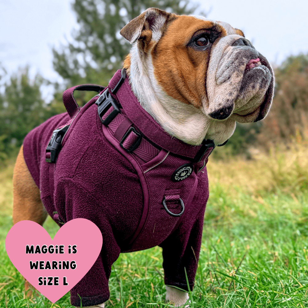 Trail & Glow® Dog Harness - Mulberry Tweed.