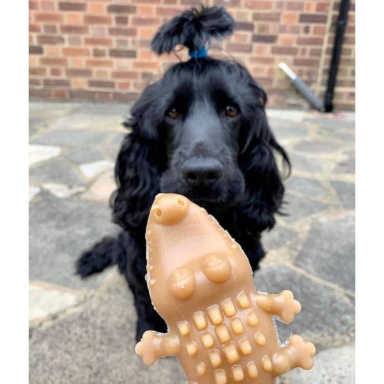 Peanut Butter Crocodiles.