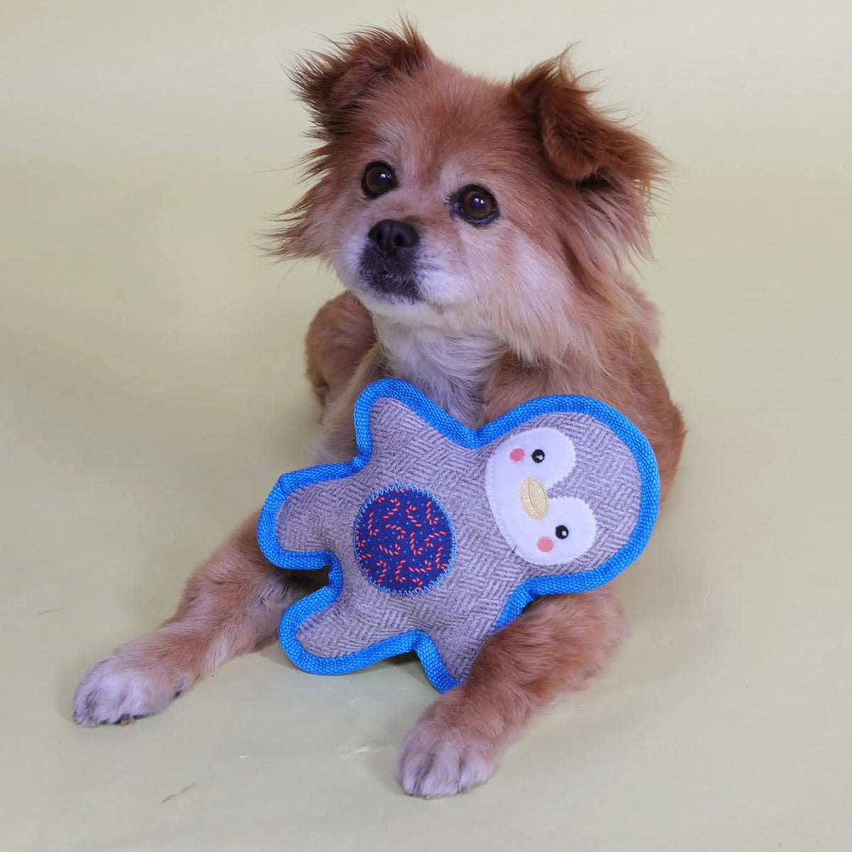 PetLondon Tweed Penguin Plush Squeaky Dog Toy – image 2