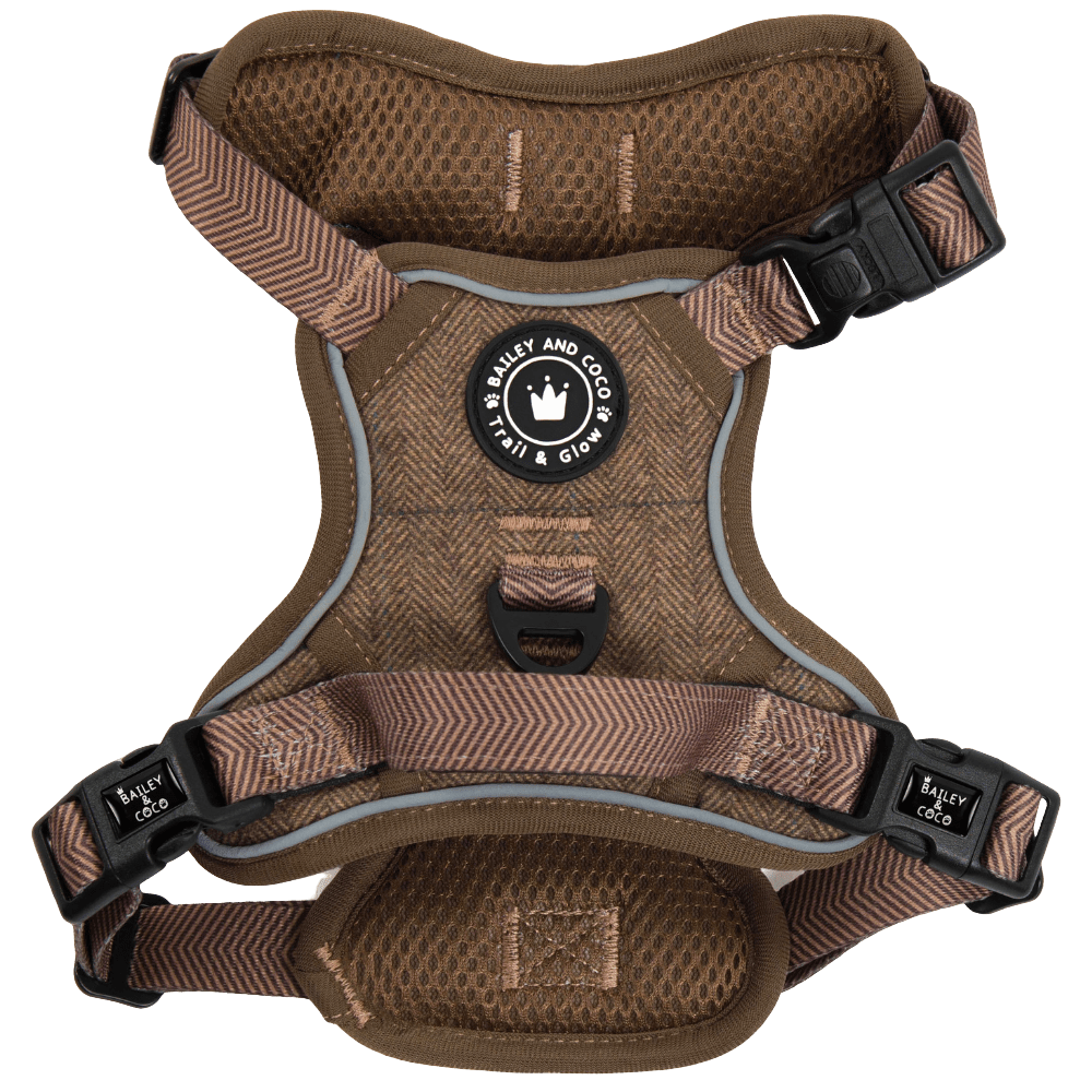 Bailey & Coco Trail & Glow harness in Oxford Tweed — no-pull, reflective