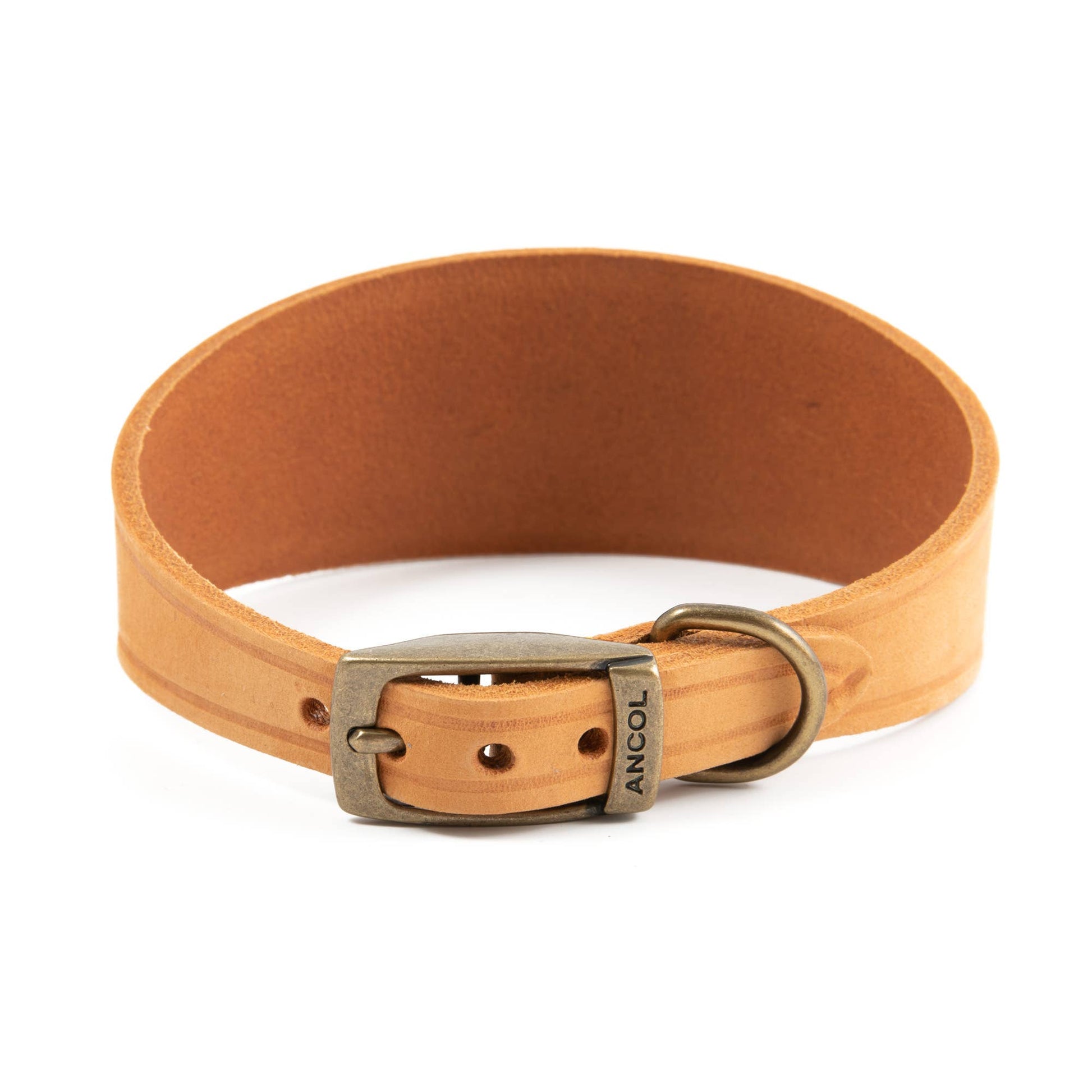 Timberwolf Hound Collar ( Size 34-43cm).
