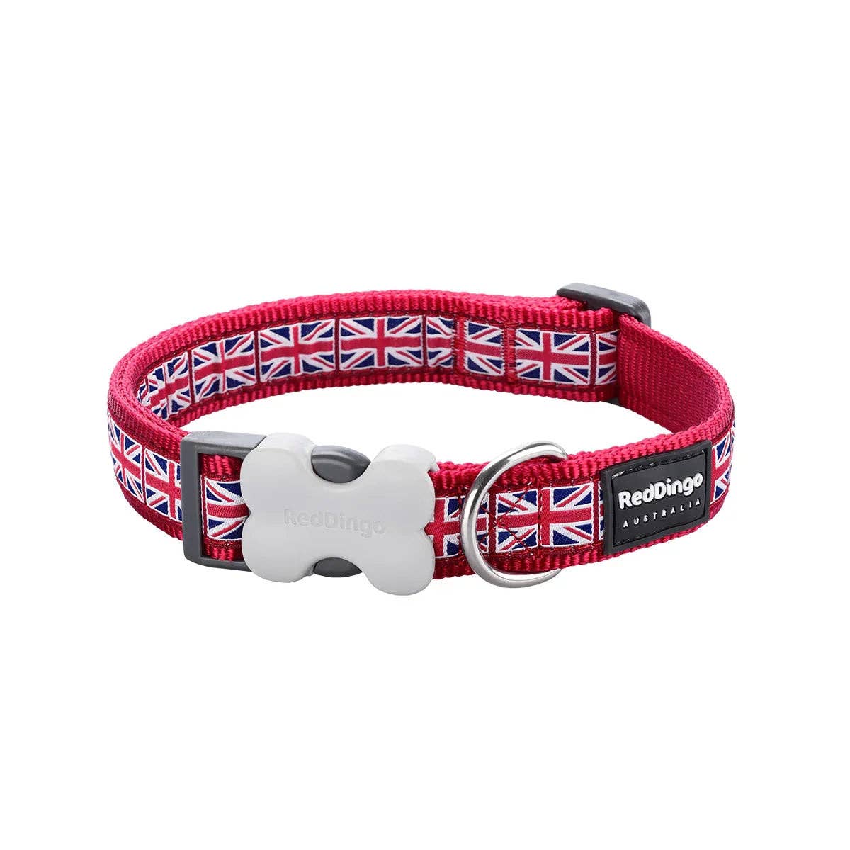 Red Dingo Design dog collar in Union Jack Red — Bucklebone buckle and stainless steel D-ring