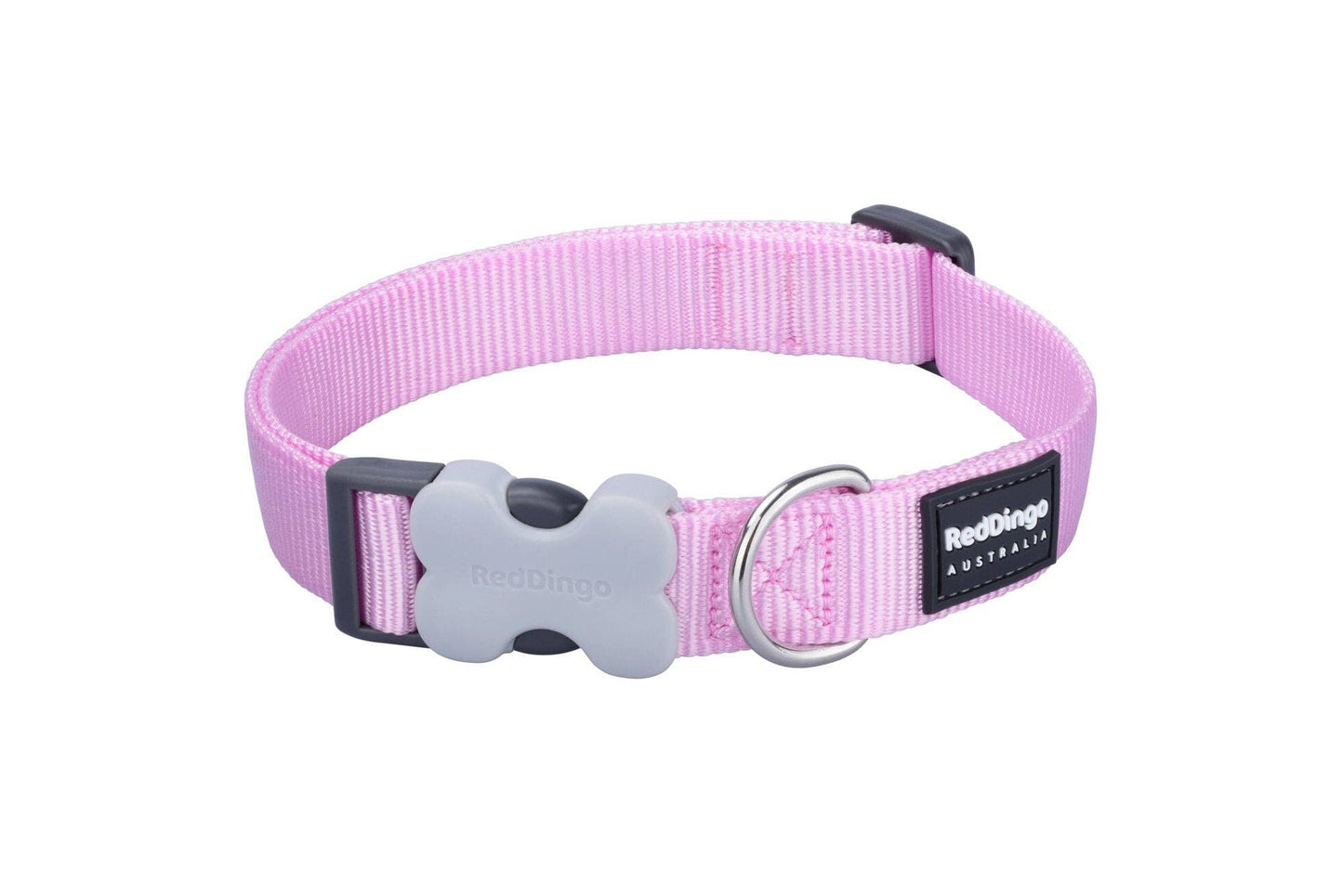 Red Dingo Classic dog collar in Pastel Pink — Bucklebone buckle and stainless steel D-ring