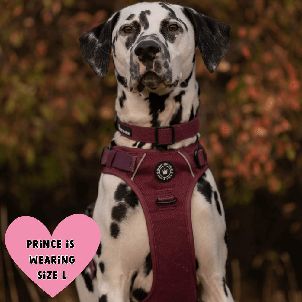 Trail & Glow® Dog Harness - Mulberry Tweed.