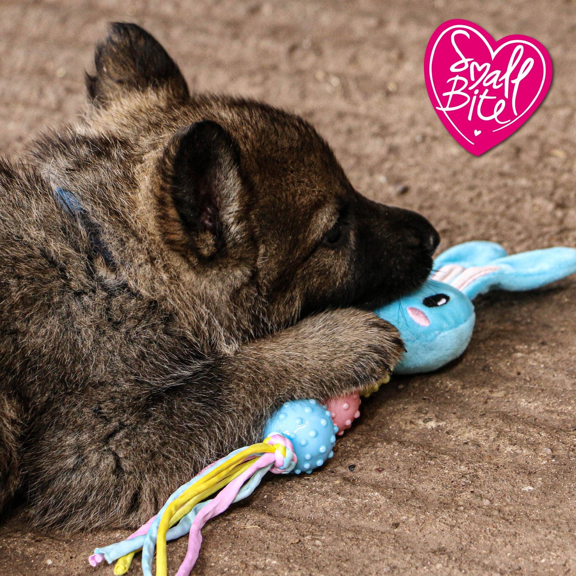 Ancol Small Bite puppy comforter toy designs — bear, bunny and heart