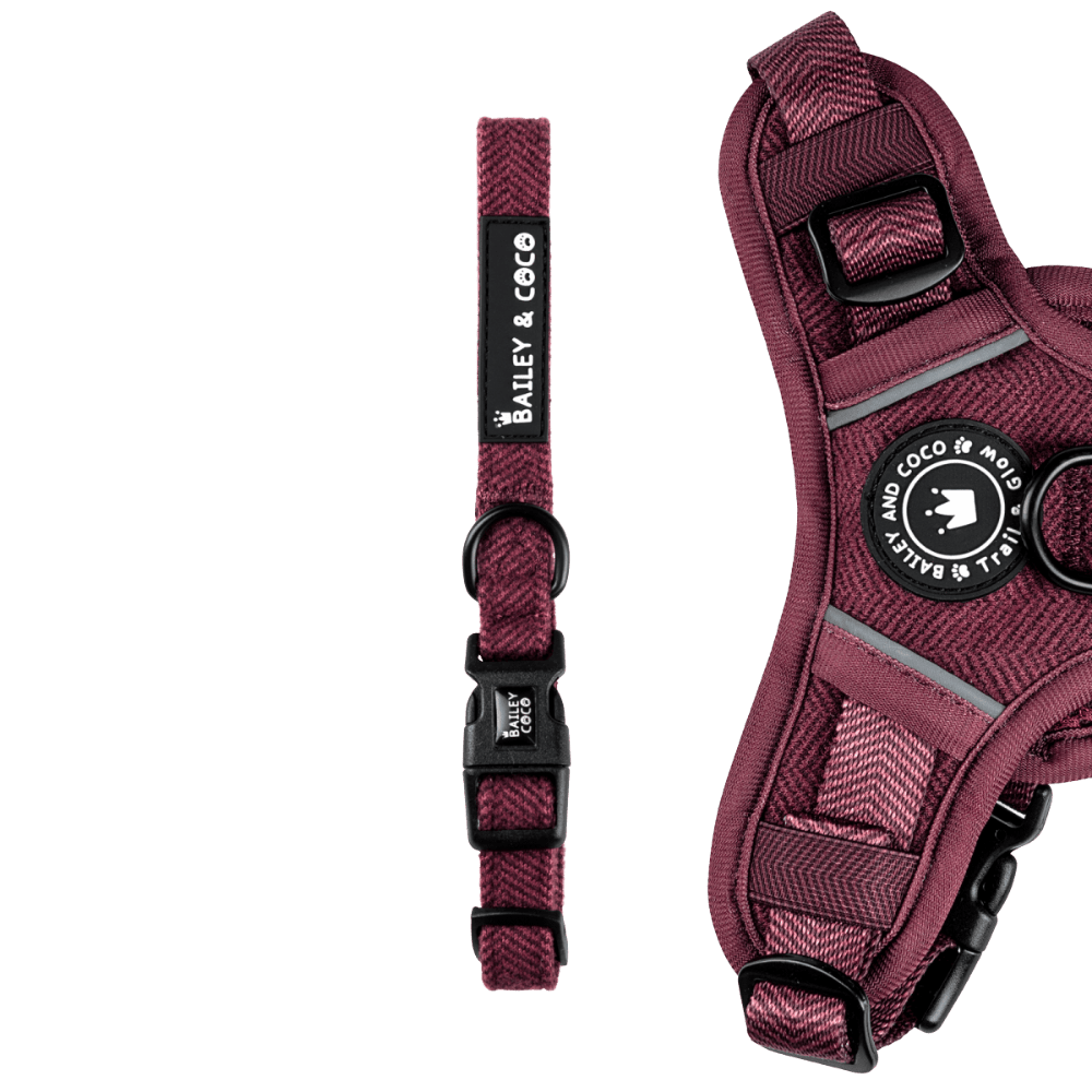 Bailey & Coco adjustable dog collar in Mulberry Tweed