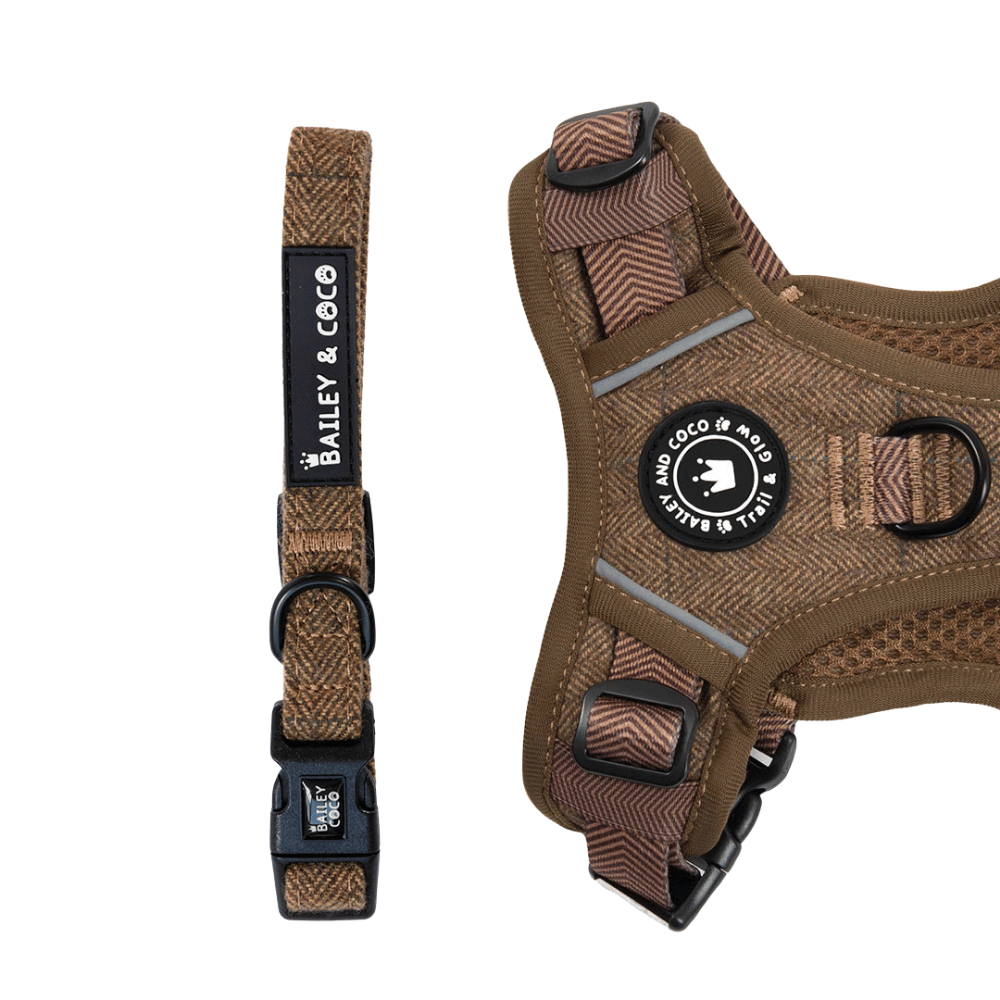 Oxford Tweed adjustable dog collar by Bailey and Coco — wool mix tweed, metal D-ring, available XS to L