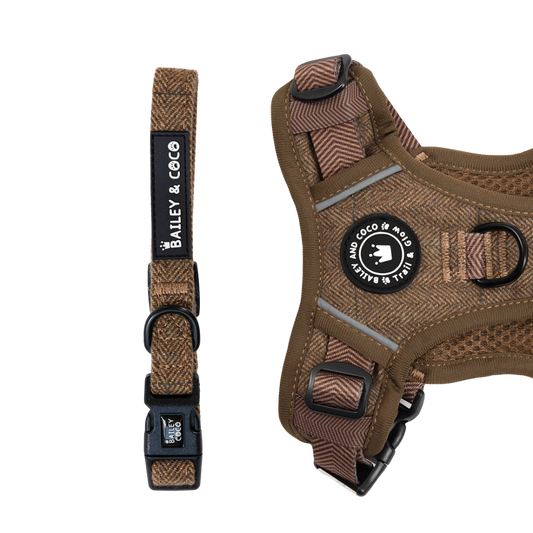 Oxford Tweed adjustable dog collar by Bailey and Coco — wool mix tweed, metal D-ring, available XS to L