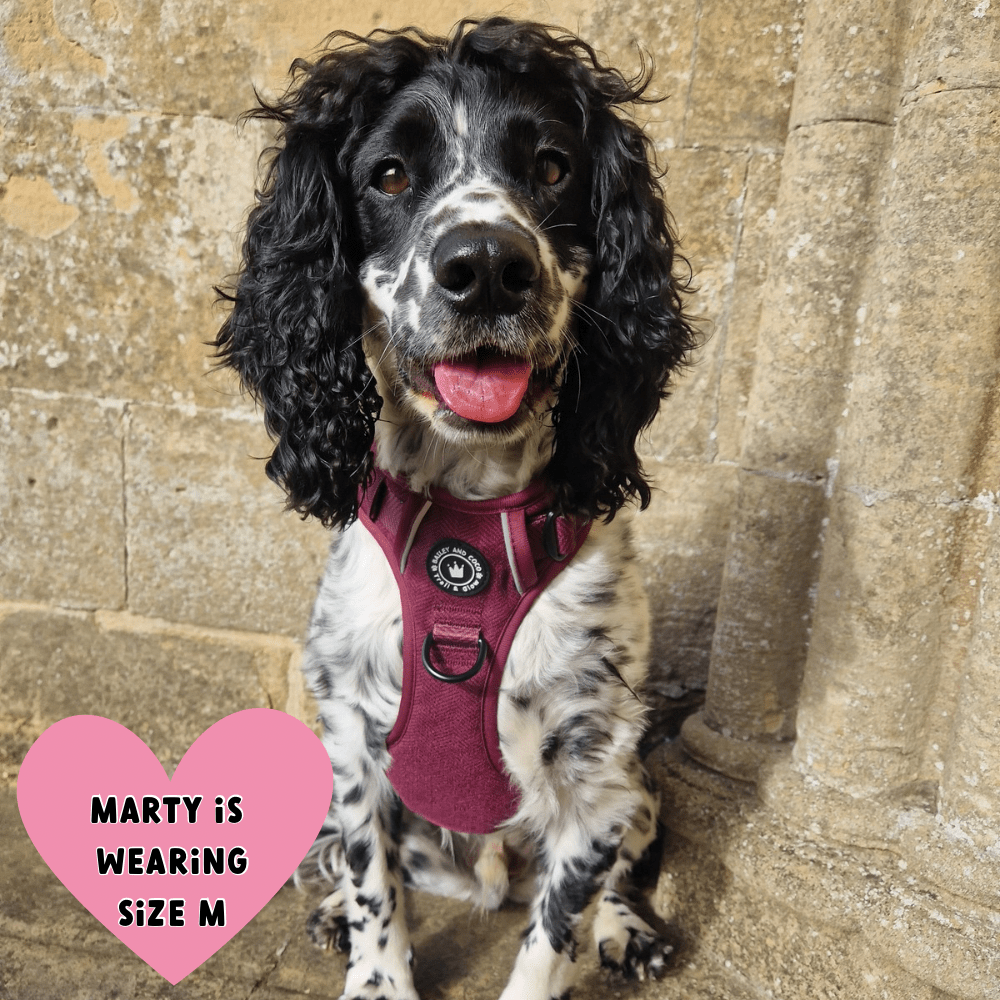 Trail & Glow® Dog Harness - Mulberry Tweed.