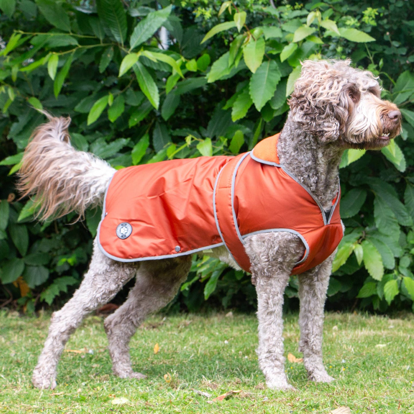 Ancol Stormguard All-Weather Terracotta Dog Coat – Waterproof, Fleece-Lined & Reflective