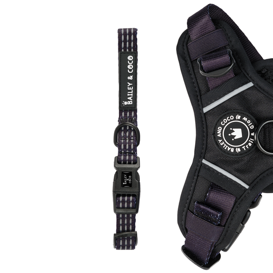 bailey and coco trail and glow jet black dog collar