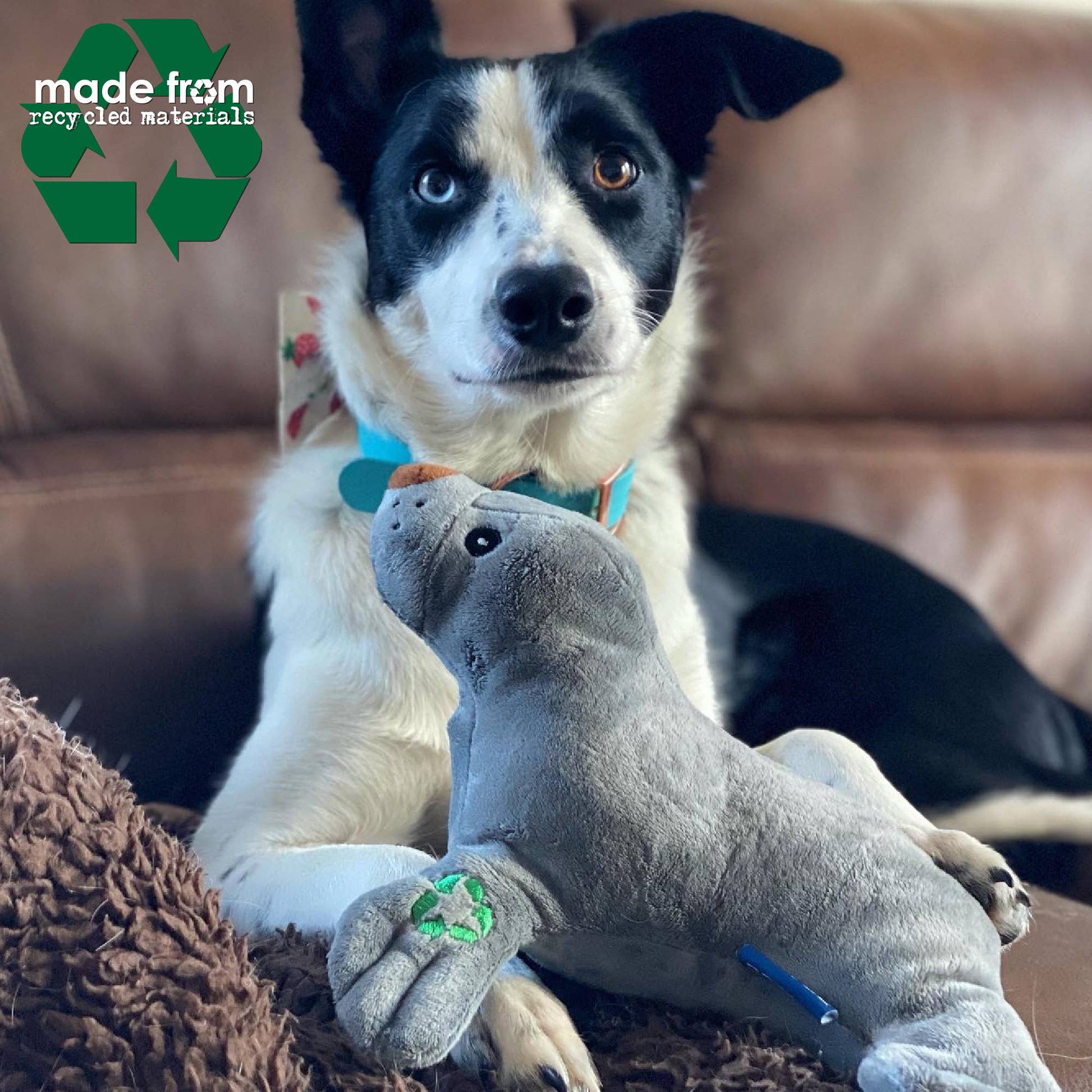 Dog playing with Made From Seal Dog Toy, eco-friendly plush made from recycled materials with squeaker.