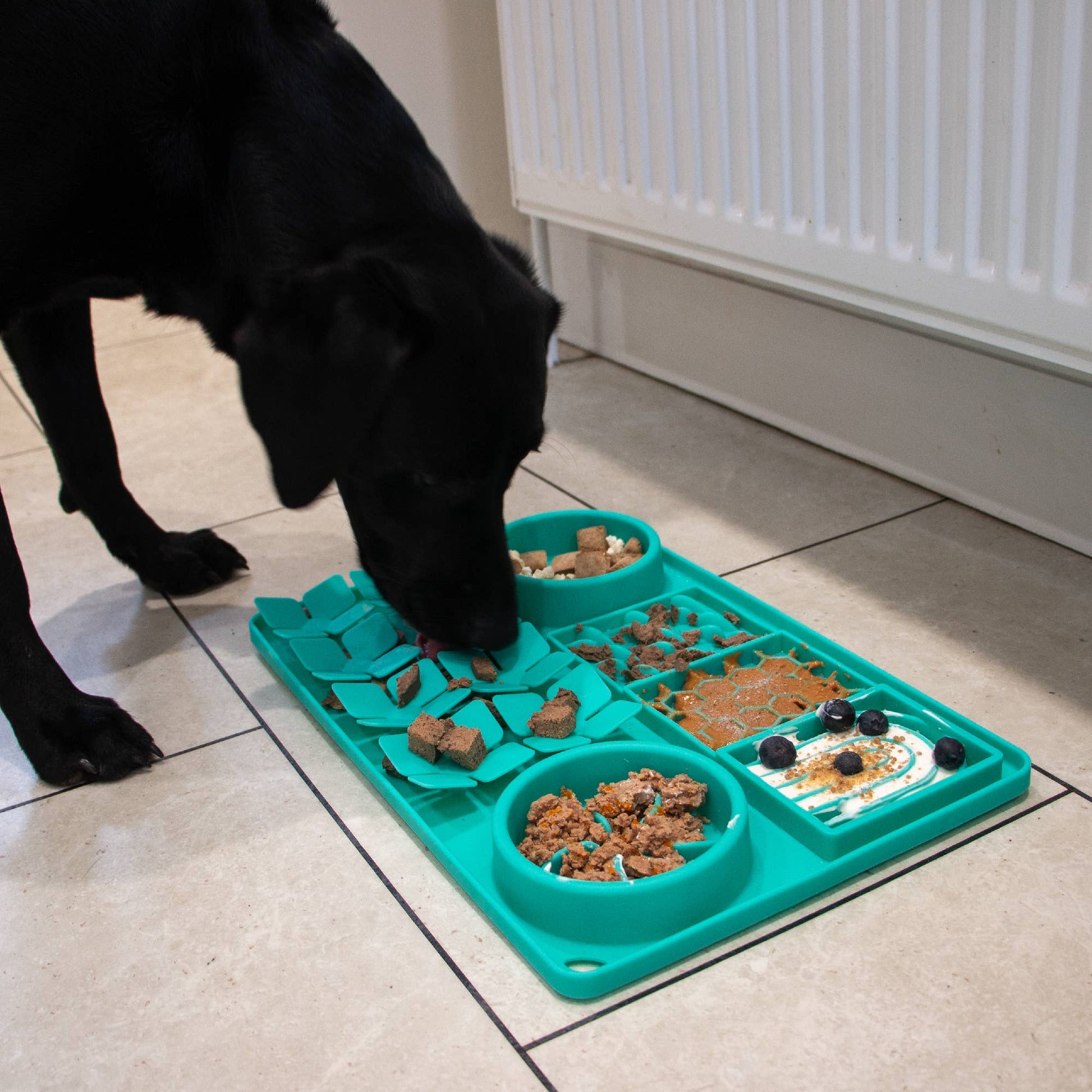 Dog eating from a large dog feeding mat for raw food, nut butter or kibble