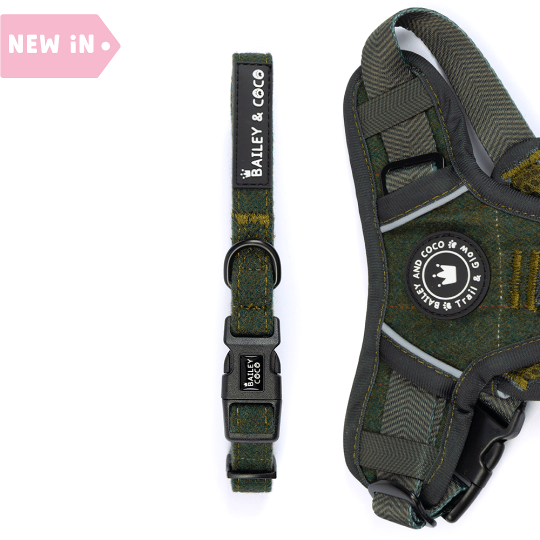 Bailey & Coco adjustable dog collar in Forest Tweed