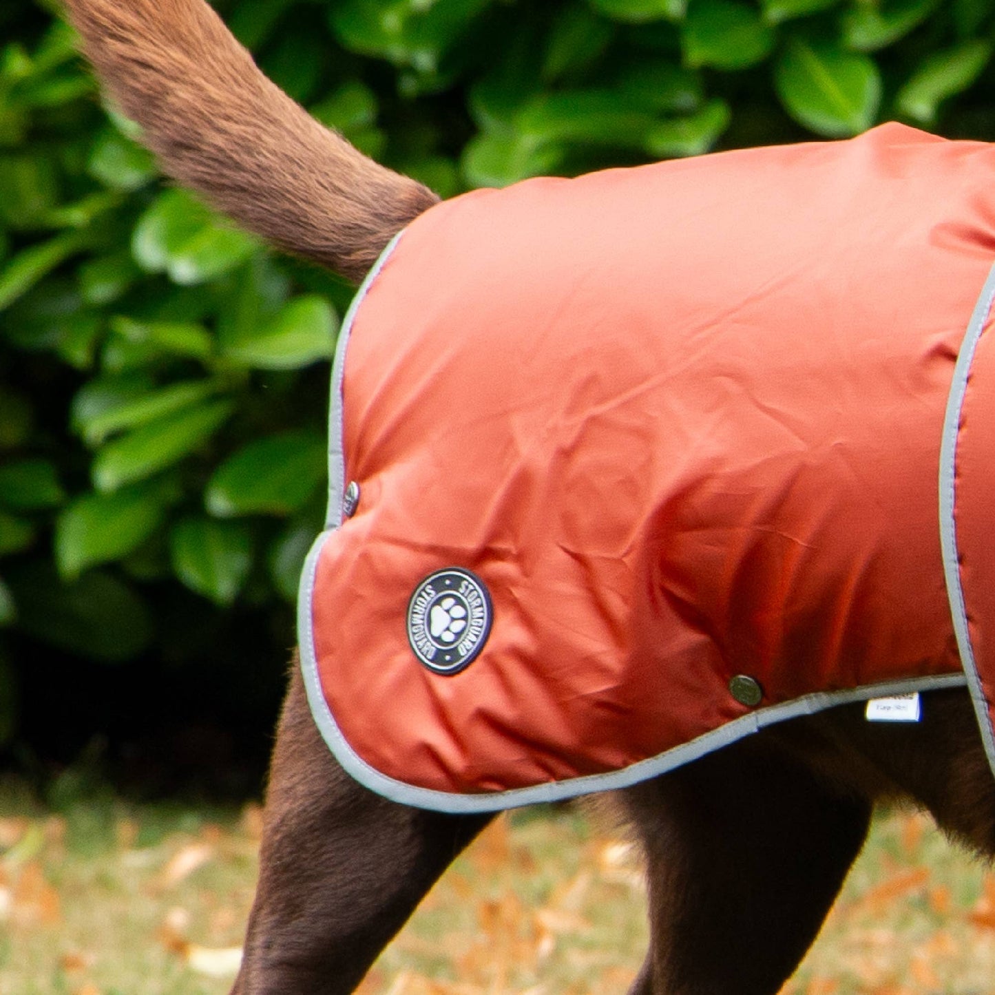 Ancol Stormguard All-Weather Terracotta Dog Coat – Waterproof, Fleece-Lined & Reflective