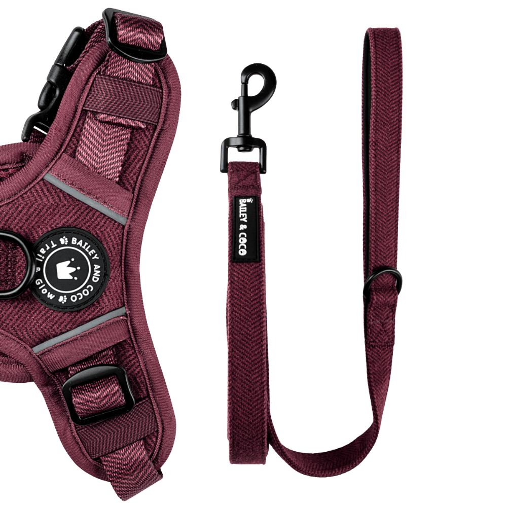 Bailey & Coco 5ft dog lead in Mulberry Tweed — padded neoprene handle and D-ring