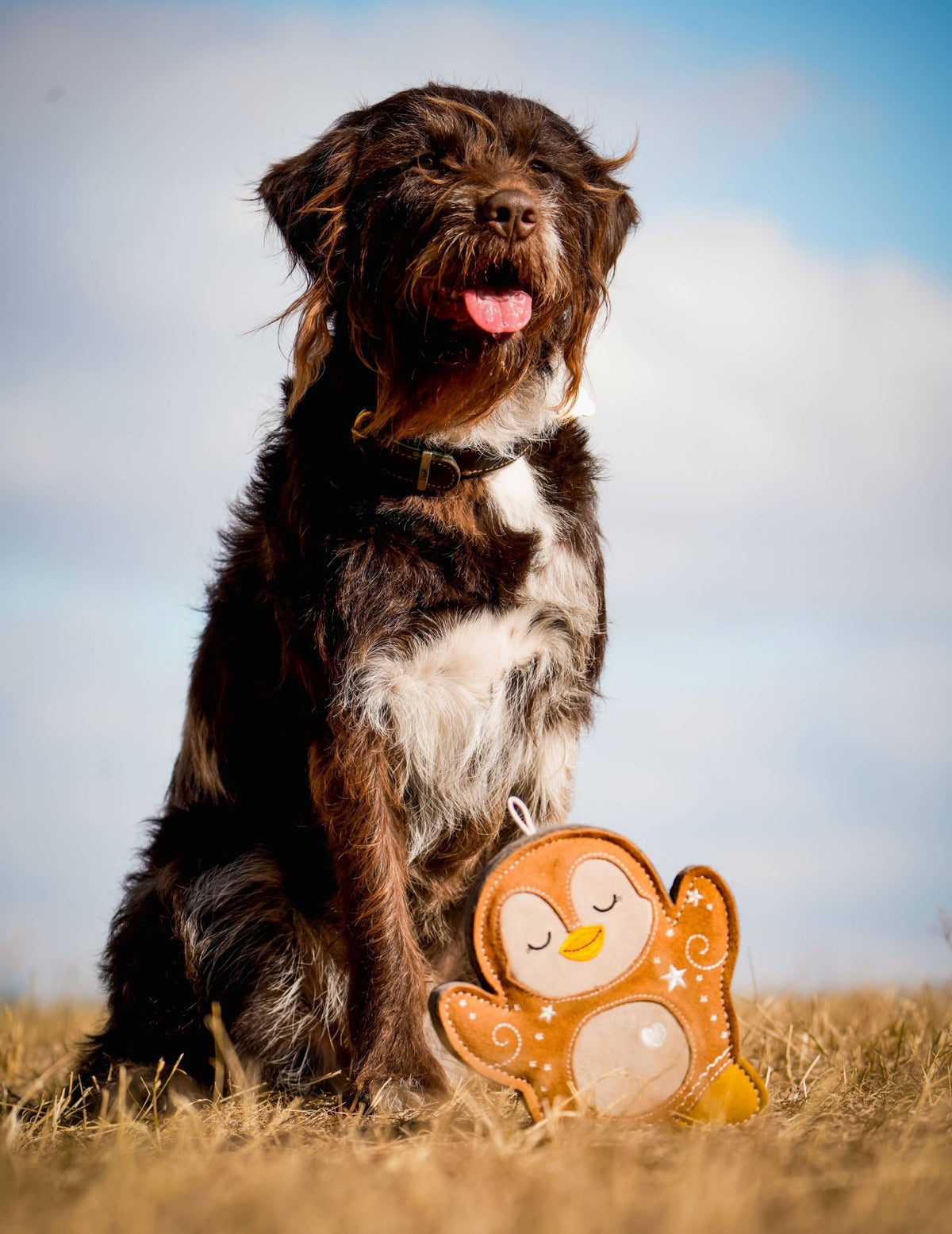 Poppy the Gingerbread Penguin – Christmas Tough Eco Dog Toy - Hairy Dogs (Cambs) Ltd