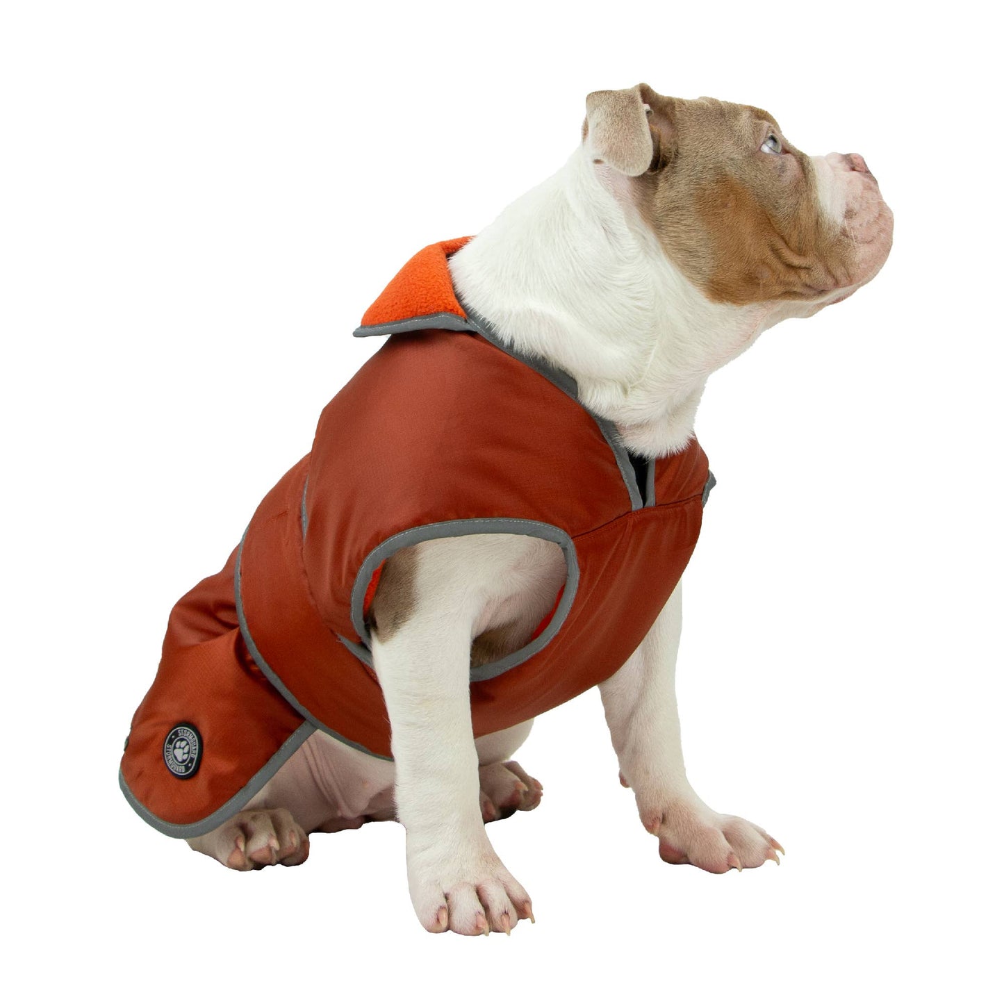 Ancol Stormguard All-Weather Terracotta Dog Coat – Waterproof, Fleece-Lined & Reflective
