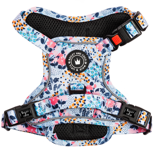 Bailey & Coco Trail & Glow harness in Spring Dreams floral — no-pull, reflective