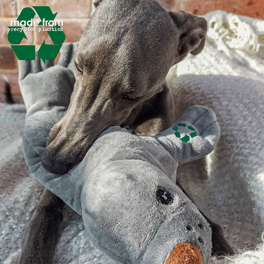 Dog playing with Made From Seal Dog Toy, eco-friendly plush made from recycled materials with squeaker.