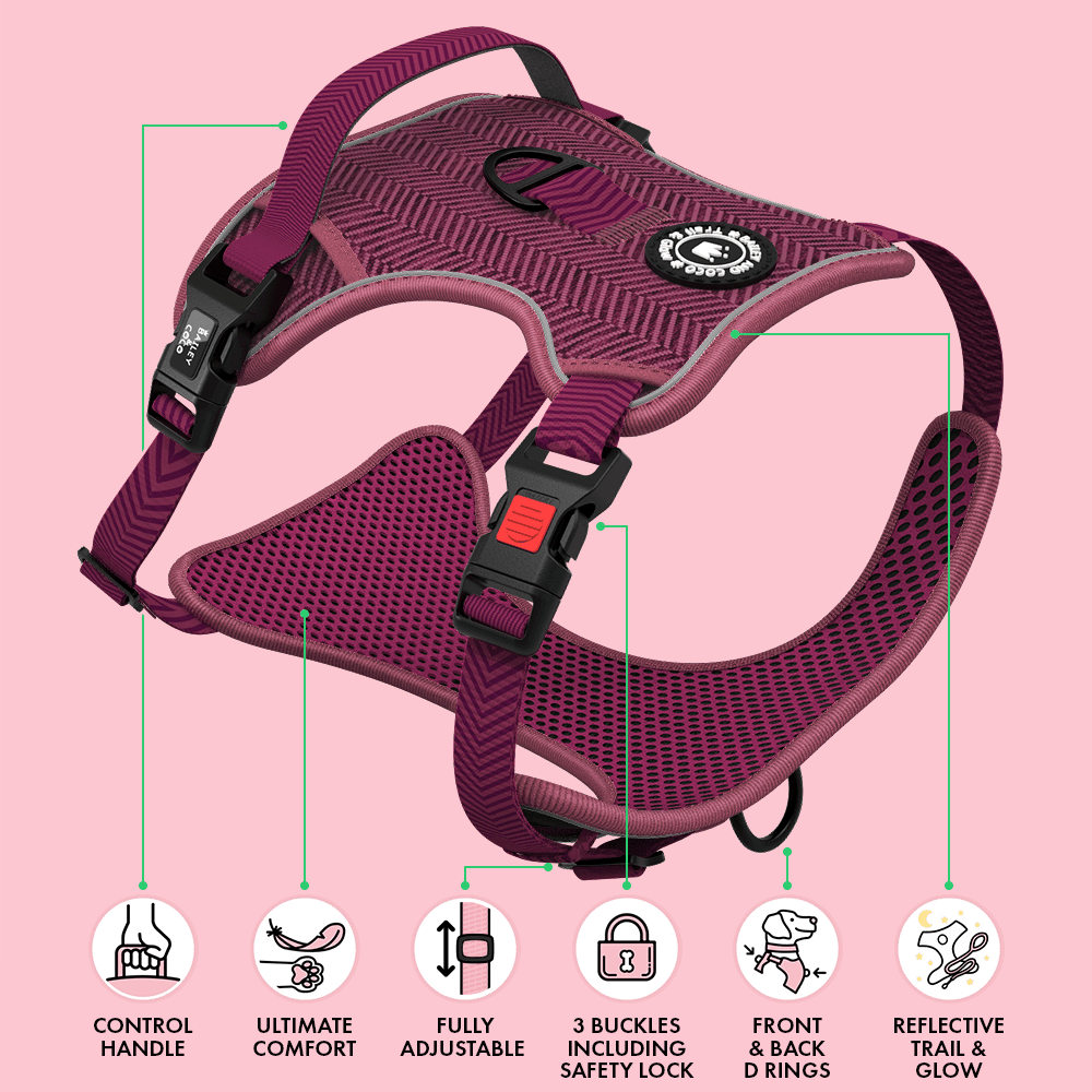 Trail & Glow® Dog Harness - Mulberry Tweed.