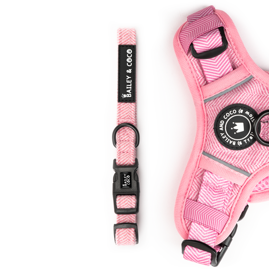 bailey and coco bubblegum pink tweed dog collar
