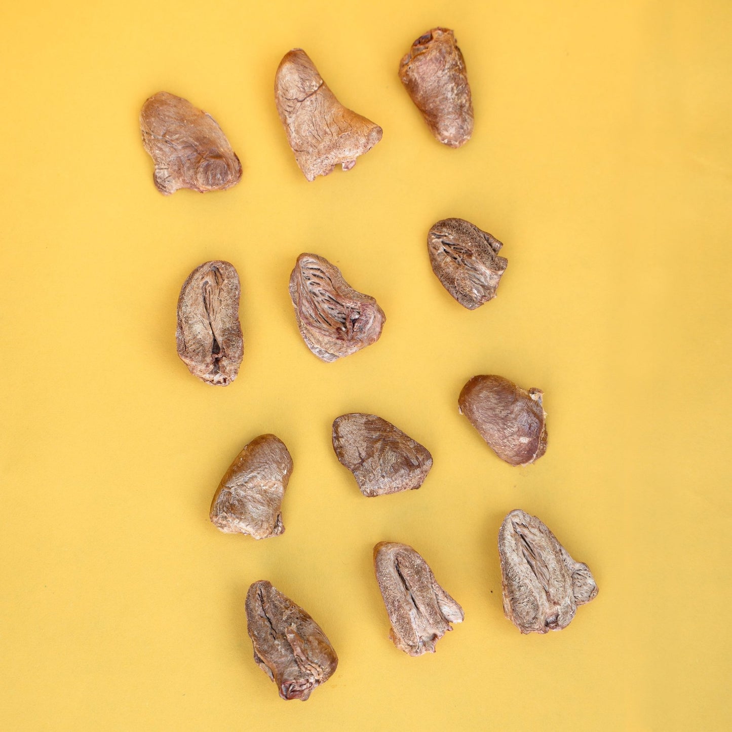 Waita Freeze-Dried Chicken Heart 40g - Hairy Dogs (Cambs) Ltd