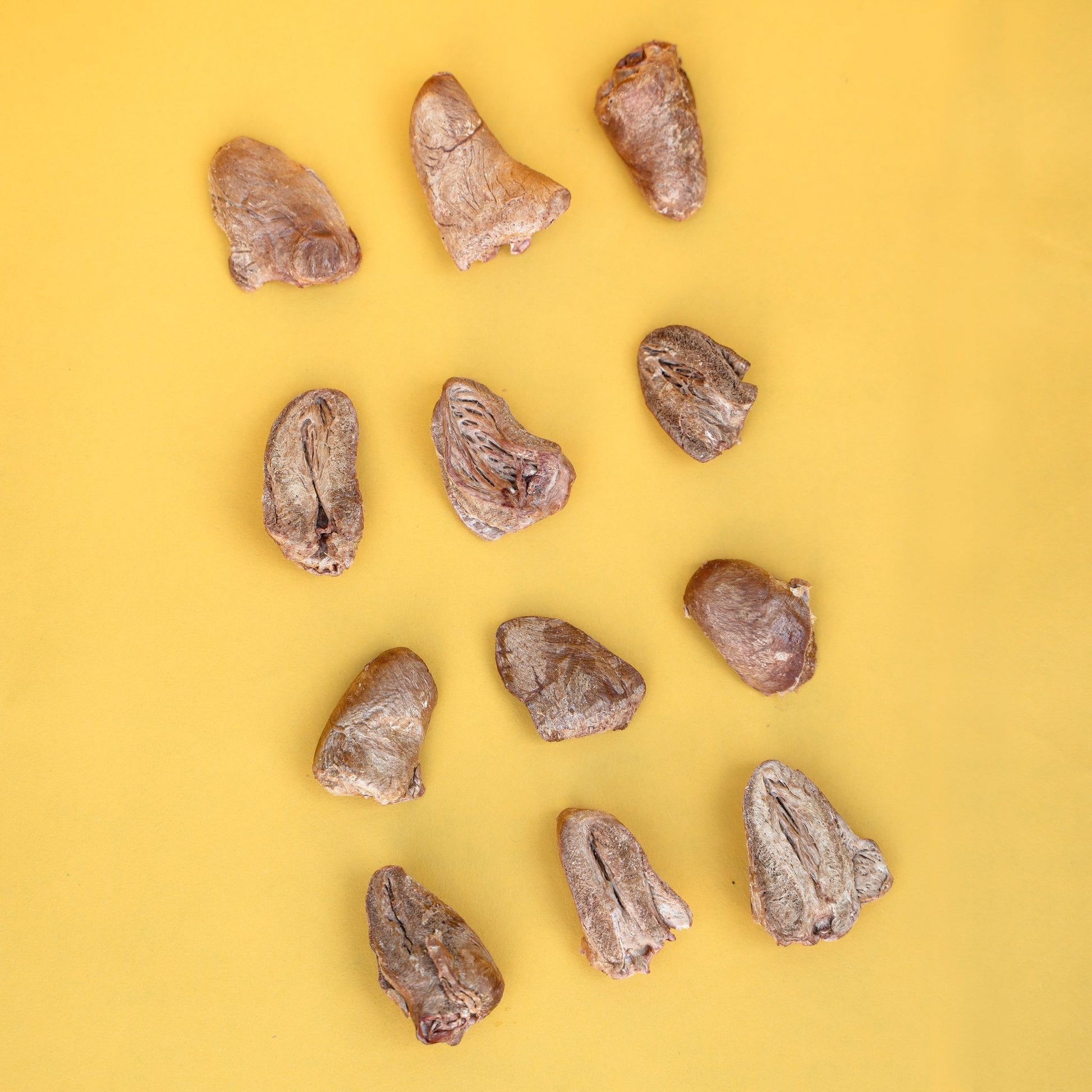 Waita Freeze-Dried Chicken Heart 40g - Hairy Dogs (Cambs) Ltd