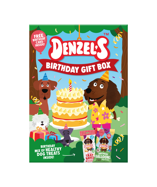 Denzel's Birthday Gift Box for dogs