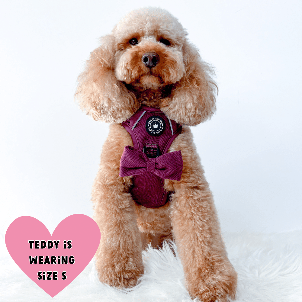 Trail & Glow® Dog Harness - Mulberry Tweed.