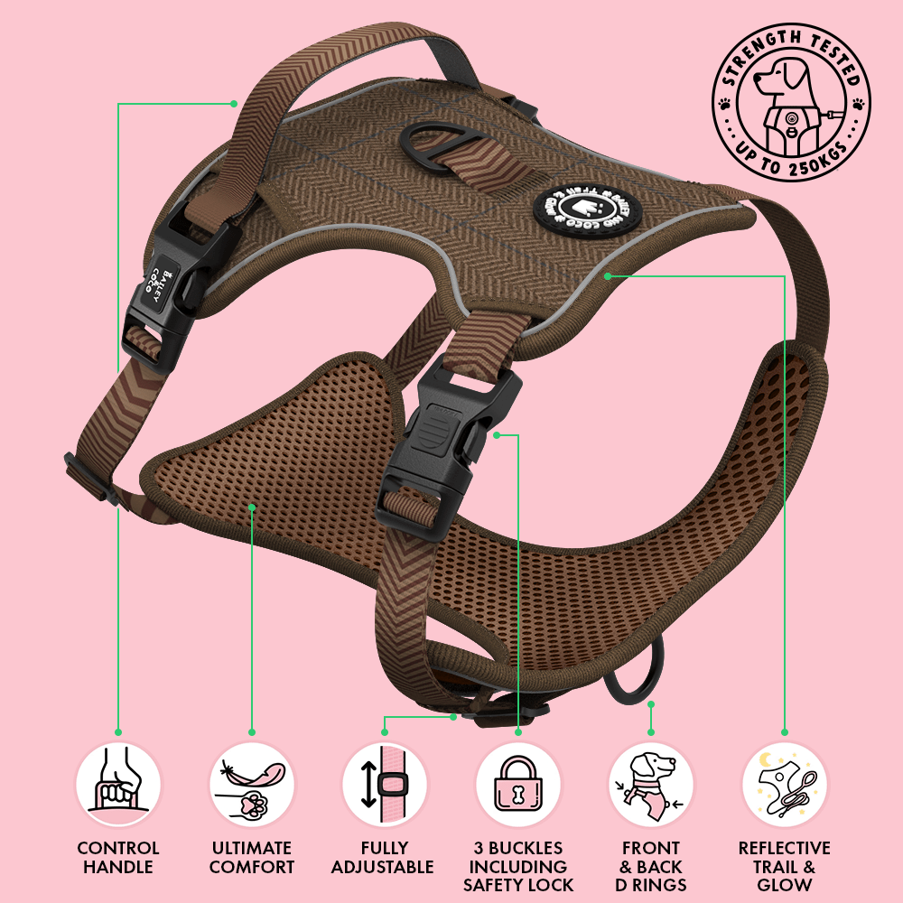 Oxford Tweed harness side profile showing 3-buckle adjustment system and chest strap fit