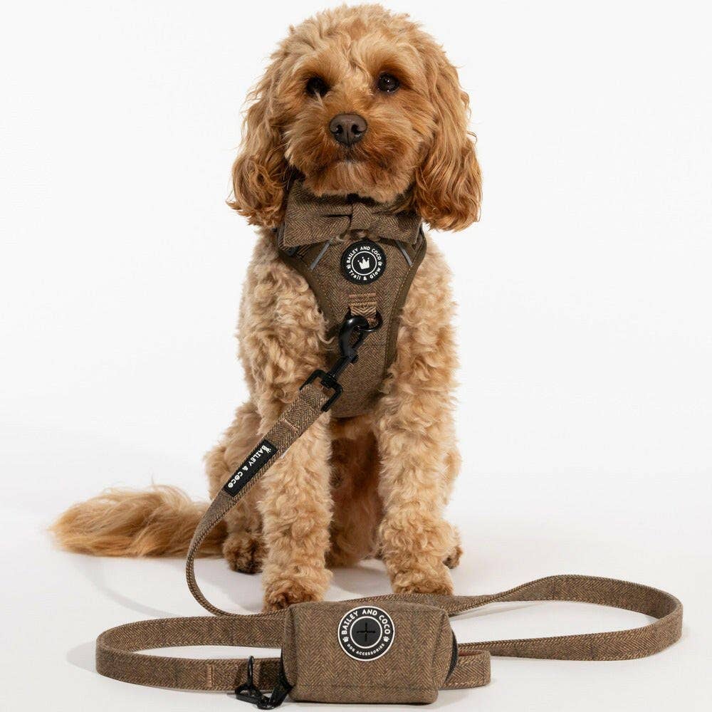 Bailey & Coco 5ft dog lead in Oxford Tweed — padded neoprene handle and D-ring