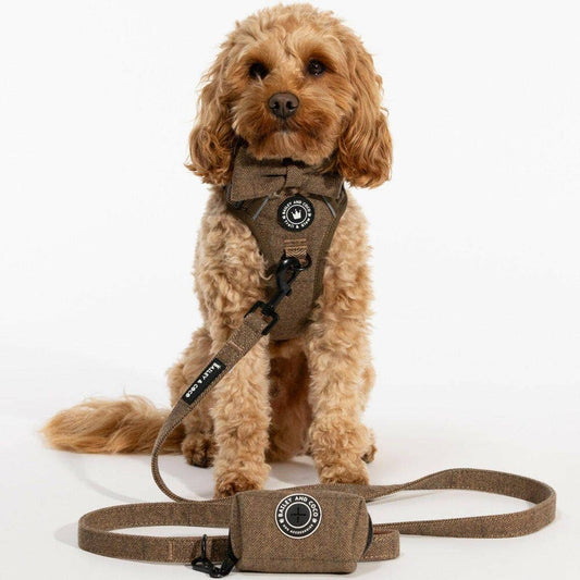 Bailey & Coco 5ft dog lead in Oxford Tweed — padded neoprene handle and D-ring