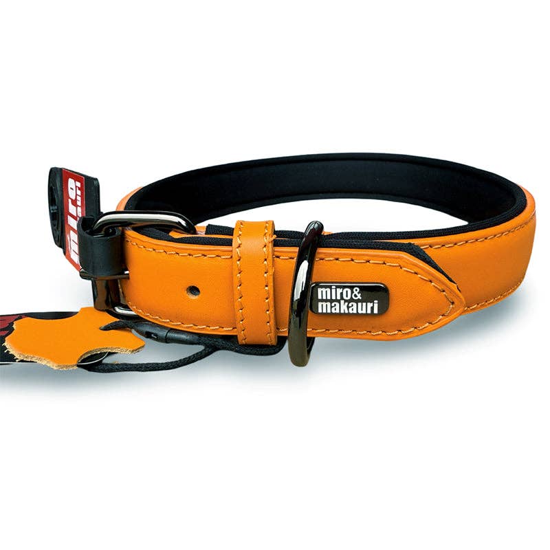 Miro & Makauri 'Milford' Leather Dog Collars - Vibrant Colours - Hairy Dogs (Cambs) Ltd