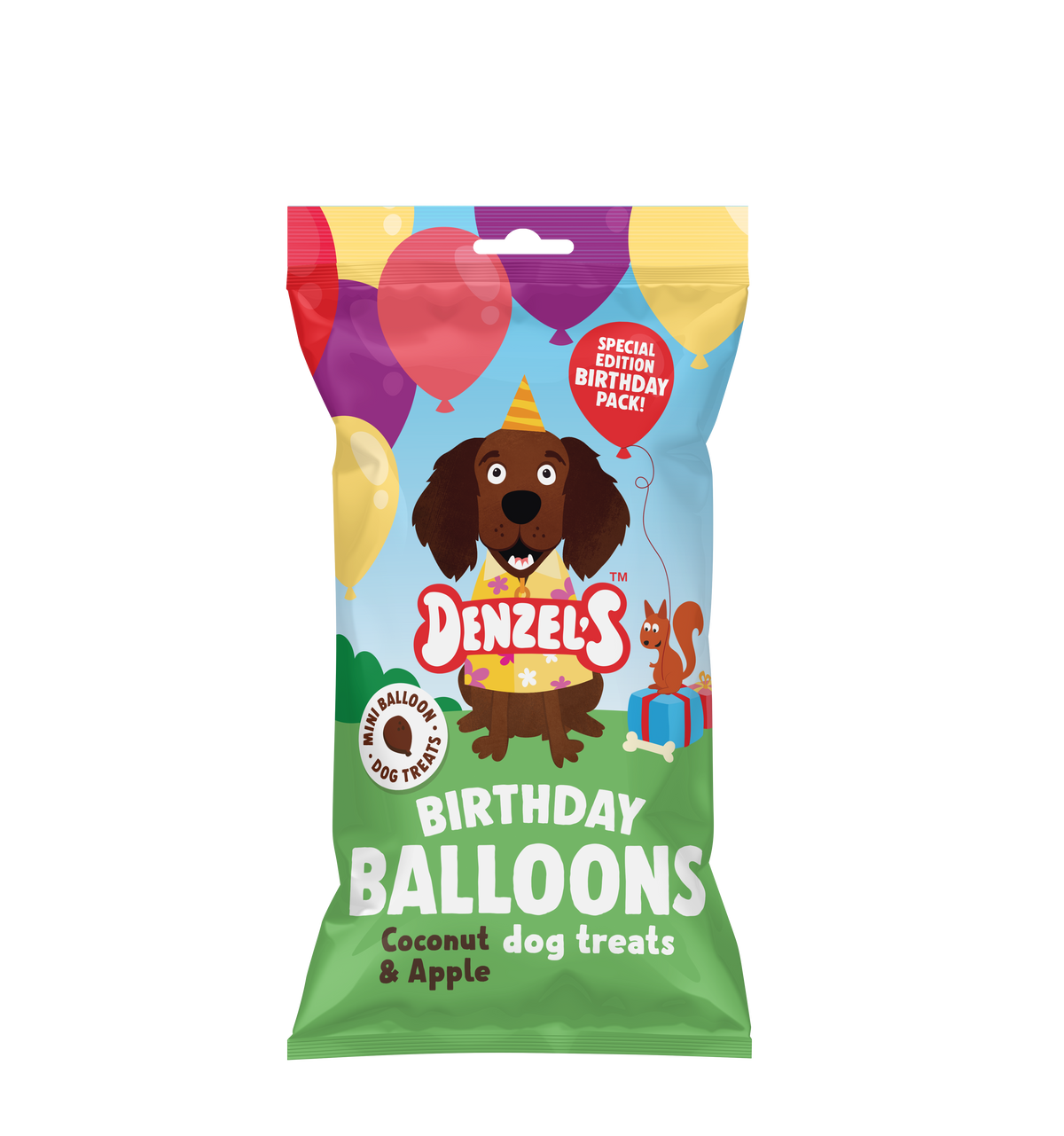 Contents of Denzel's dog birthday gift box with card