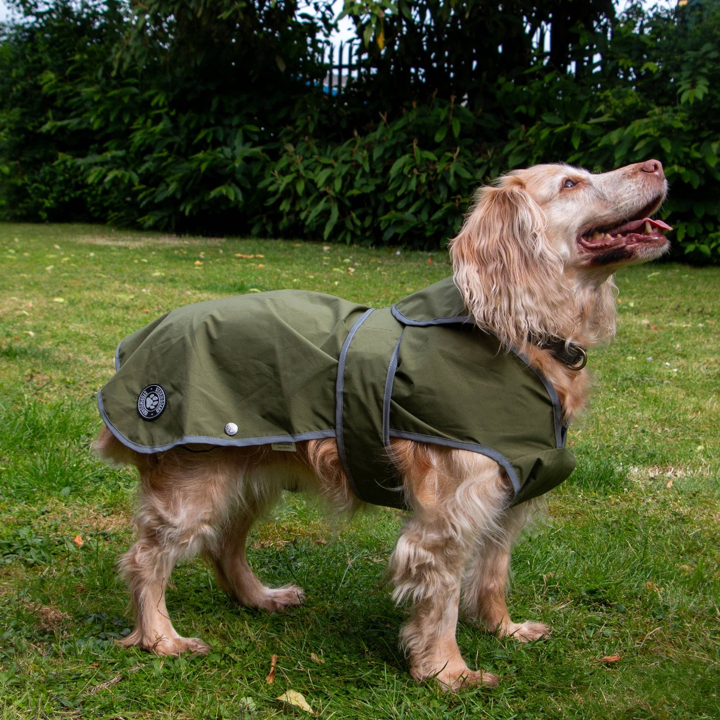 Stormguard Soft Shell  Dog Coat Khaki XS-XXL