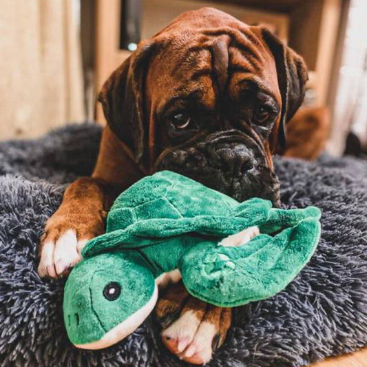 Dog cuddling the Made From Turtle Dog Toy, soft eco-friendly plush made with recycled fabrics and squeaker.