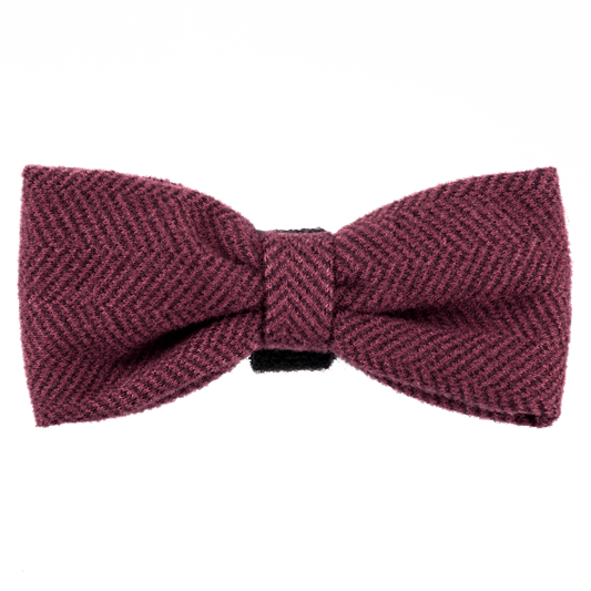 Bailey & Coco dog bow tie in Mulberry Tweed — wool mix, velcro collar attachment