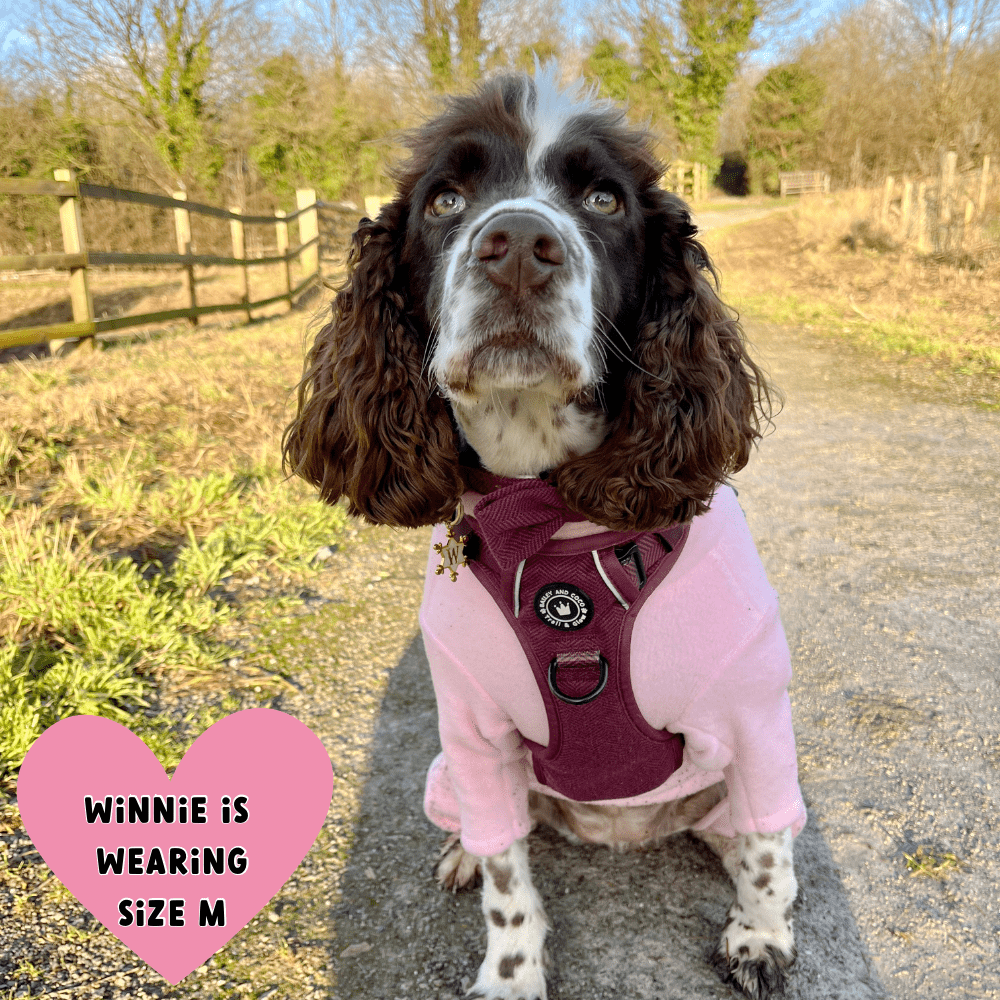 Trail & Glow® Dog Harness - Mulberry Tweed.