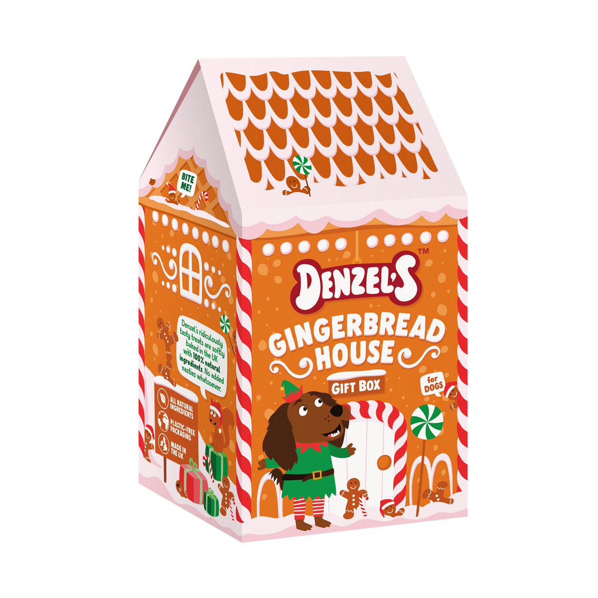 Denzel's Gingerbread House gift box for dogs