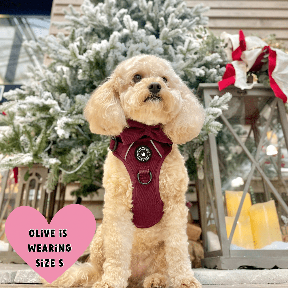 Trail & Glow® Dog Harness - Mulberry Tweed.