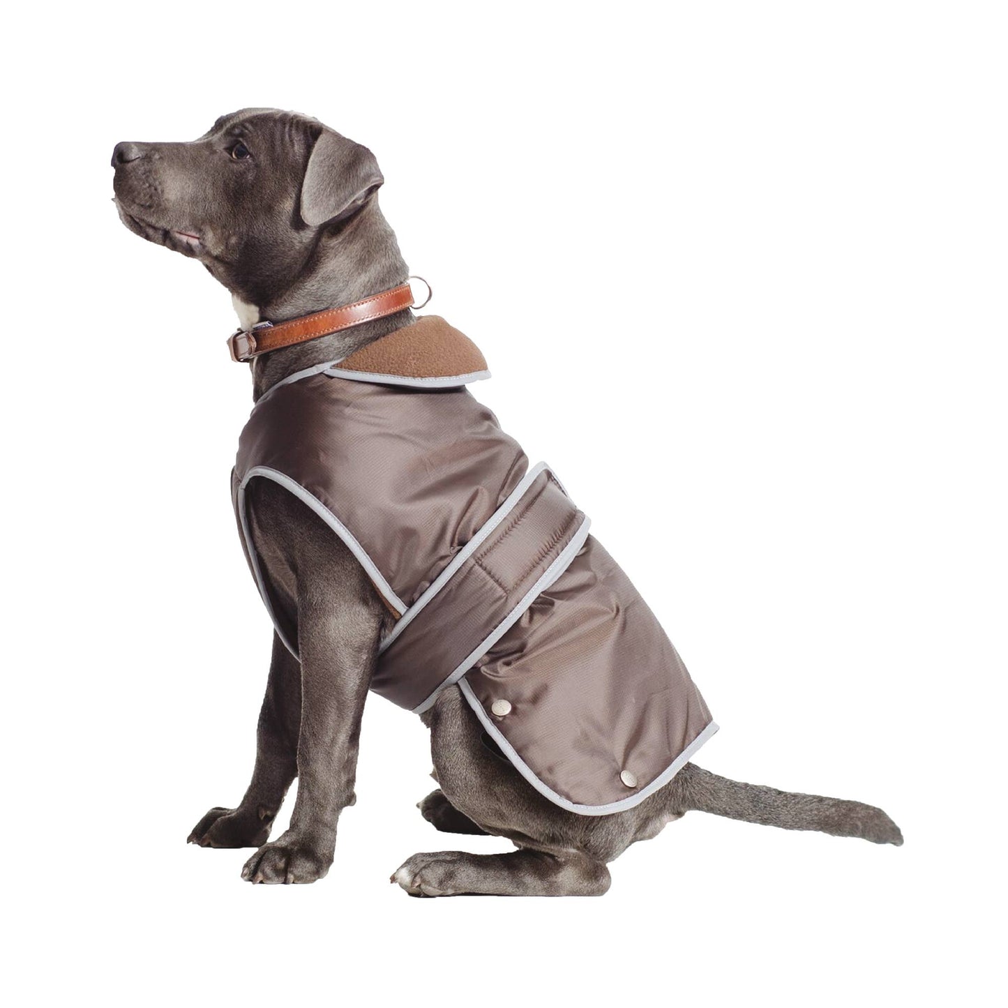 Ancol Stormguard all-weather dog coat in Chocolate brown — waterproof, fleece-lined and reflective