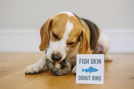 A tricolor Beagle chewing on a fish skin donut ring while lying on a wooden floor, with a product label beside it reading "Fish Skin Donut Ring" and a blue fish silhouette.