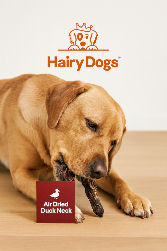 A golden Labrador Retriever chewing on an air dried duck neck while lying on a light wooden floor, with a maroon product label reading "Air Dried Duck Neck" and the orange Hairy Dogs logo displayed above.